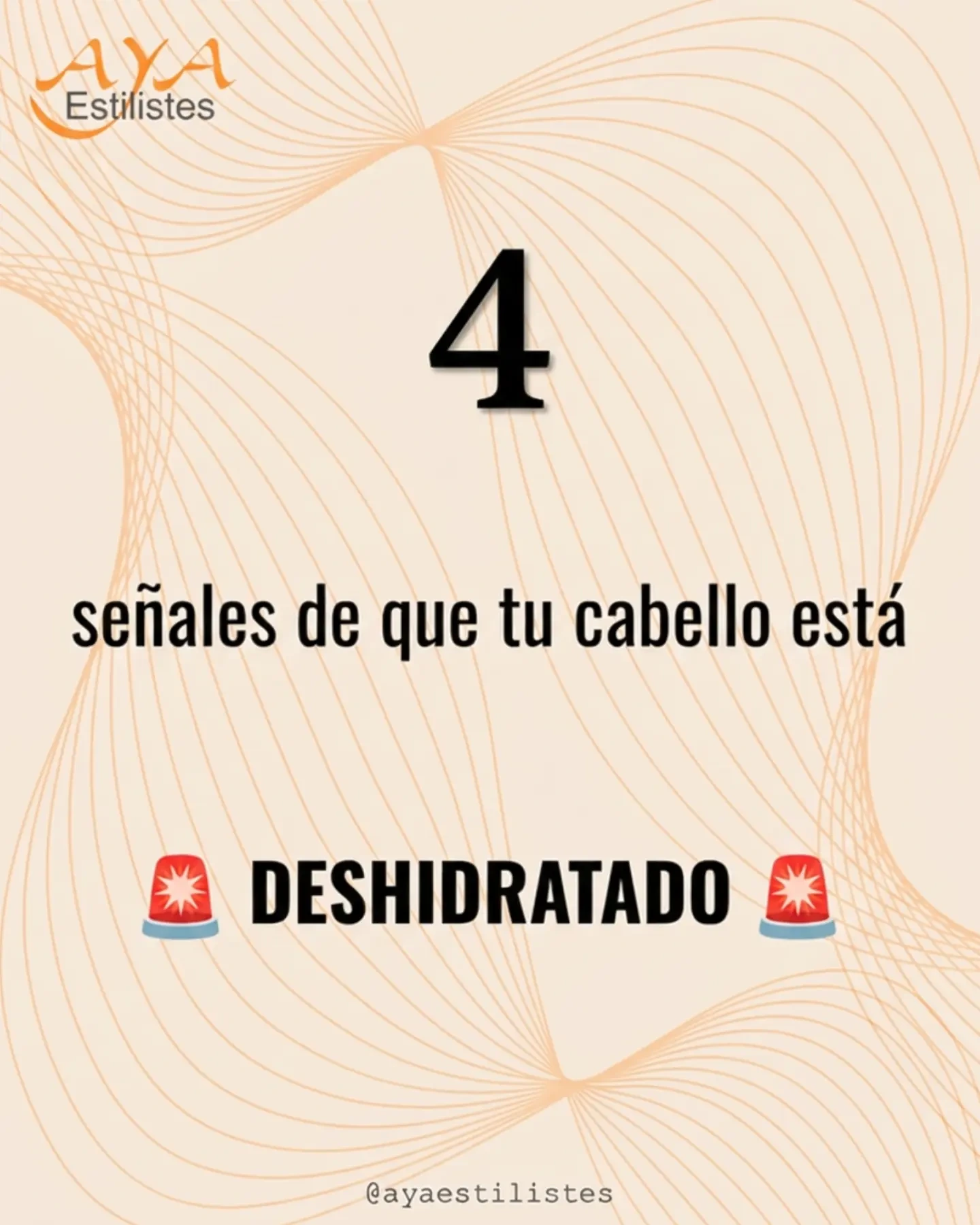 AYA Estilistes en Instagram